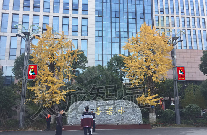长沙LED灯杆屏与智慧路灯安装现场.jpg