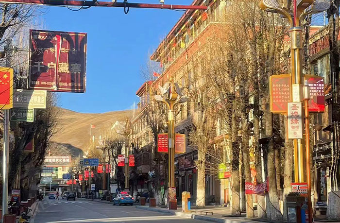 理塘路边一批点亮的LED灯杆屏.jpg 理塘路边一批点亮的LED灯杆屏.jpg
