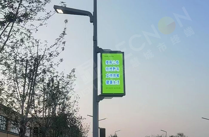 智慧城市LED灯杆屏示范项目.jpg